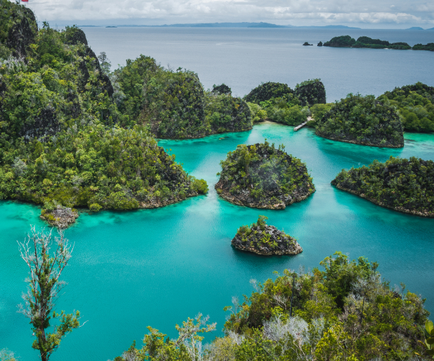 Aerial view of turquoise bay near Sumbawa island